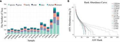 Oral microbiome sequencing revealed the enrichment of Fusobacterium sp., Porphyromonas sp., Campylobacter sp., and Neisseria sp. on the oral malignant fibroma surface of giant panda